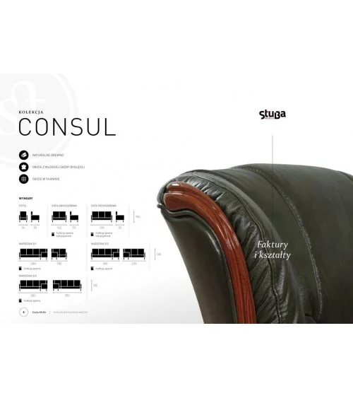Komplet mebli skórzanych Consul Sofa 3R + 2 fotele