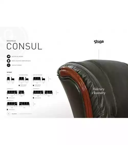 Komplet mebli skórzanych Consul Sofa 3R + 2 fotele